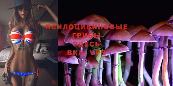 спиды Балахна